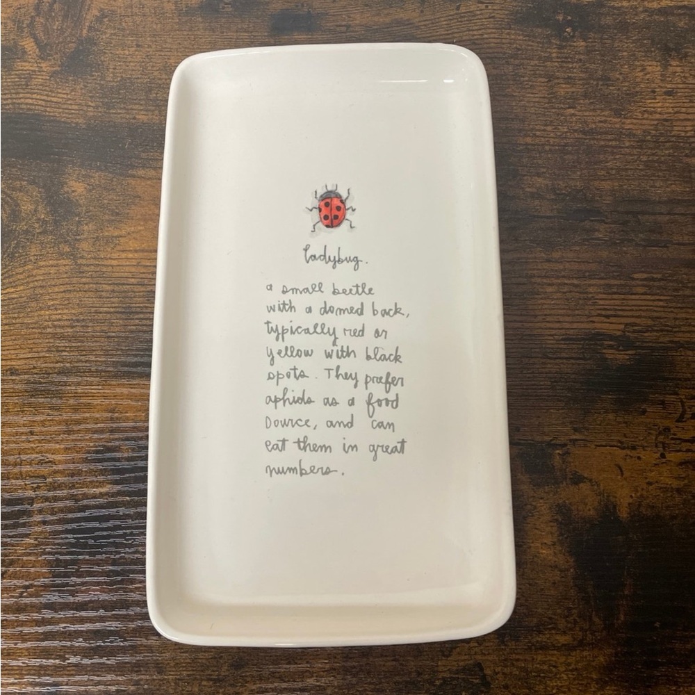 Rae Dunn Ladybug Tray